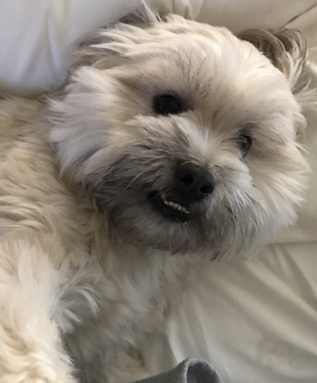Gus
