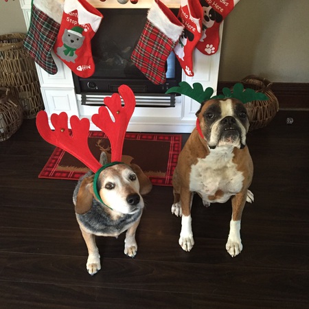 Tank & Beau 