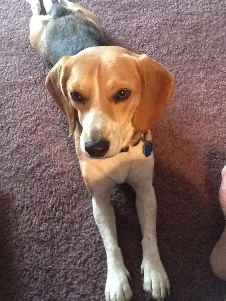 Ellie 