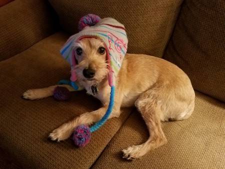 Rascal