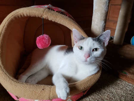 Luna