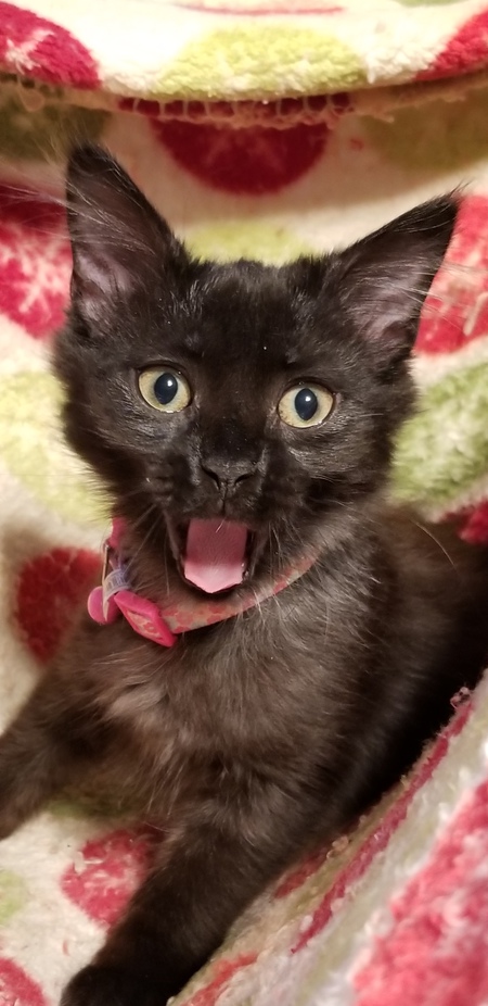 Luna