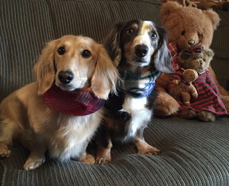 Mila & Streusel