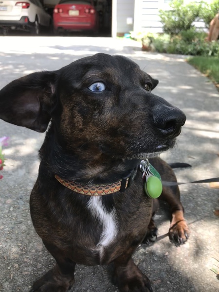 Walter