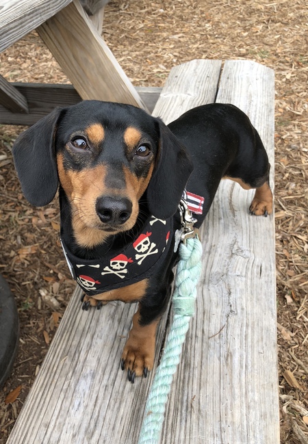 Murphy 