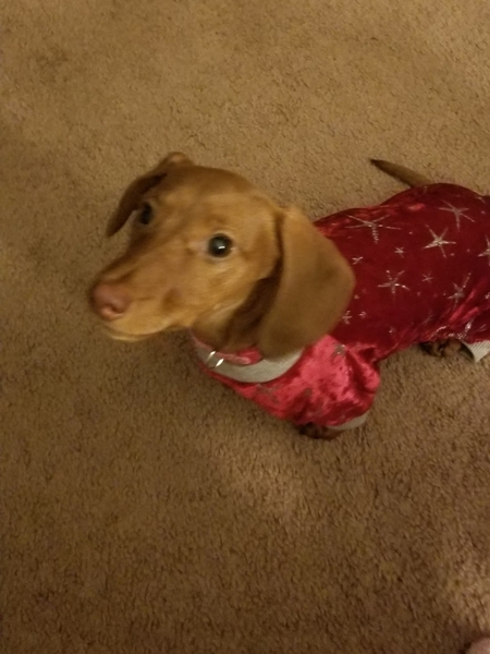 Wendy Lou