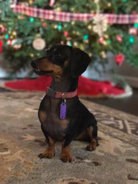 Ellie Mae