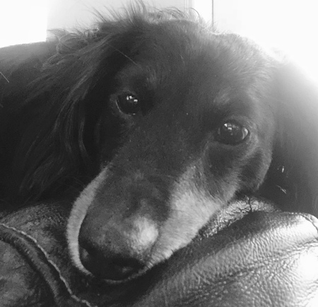 Sam