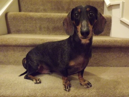 Rocky