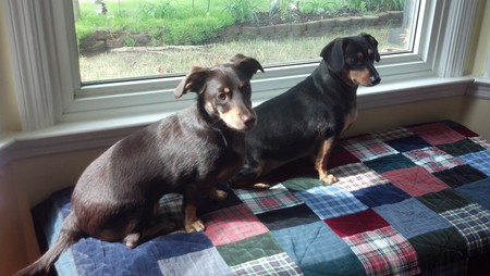 Charlie & Rerun