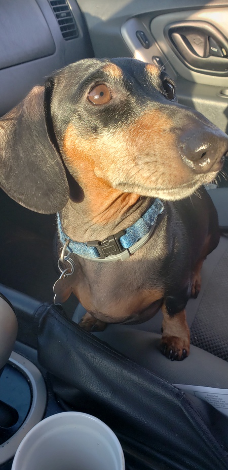 Charlie
