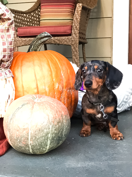 Frankie