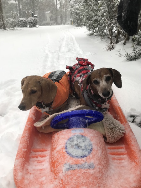 Otto and Reba