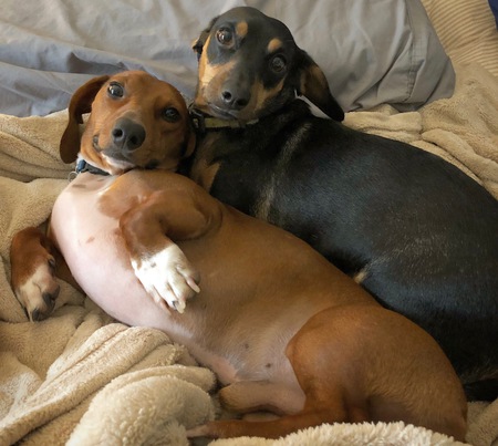 Molly and Mickey