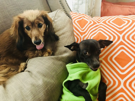 Frankie and Stella