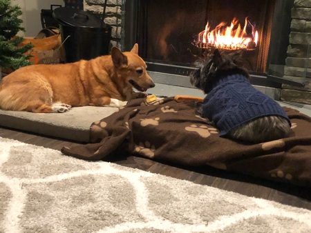 Blaze and Sadie ! 