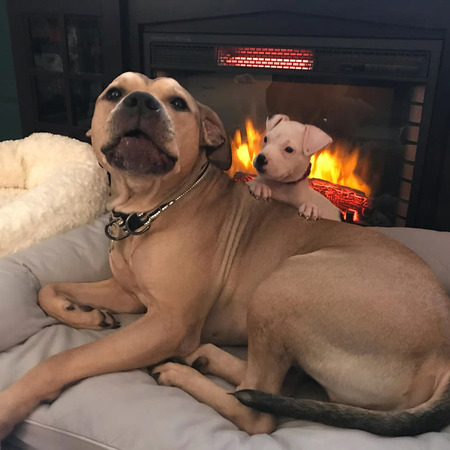 Zuul (F.K.A. Nice) and her brother Gozer