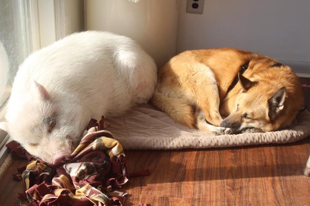 Phoenix & Templeton 