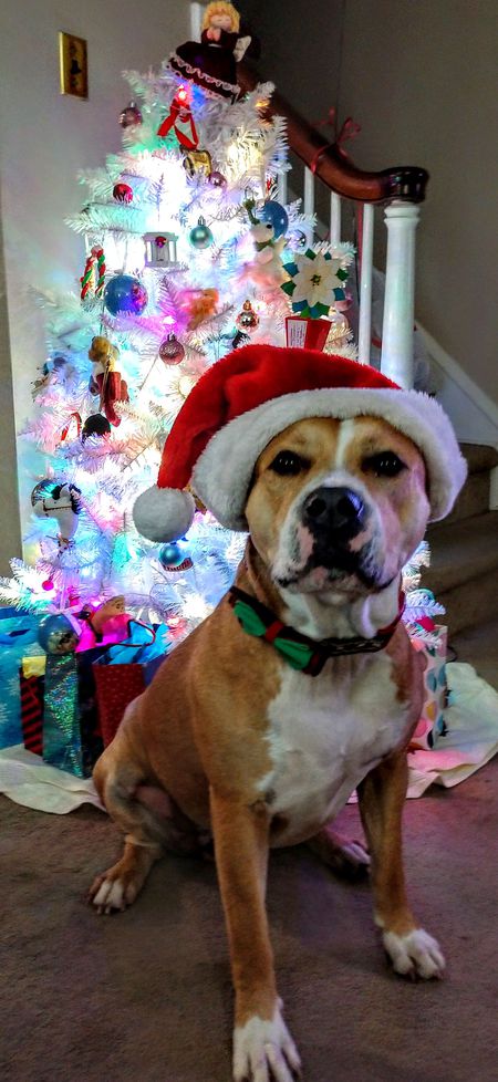 Ben