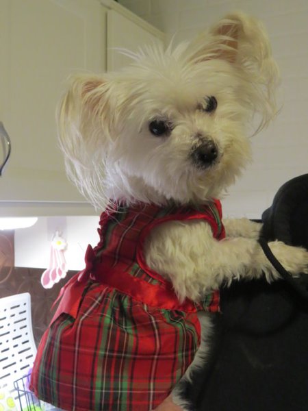 Fannie