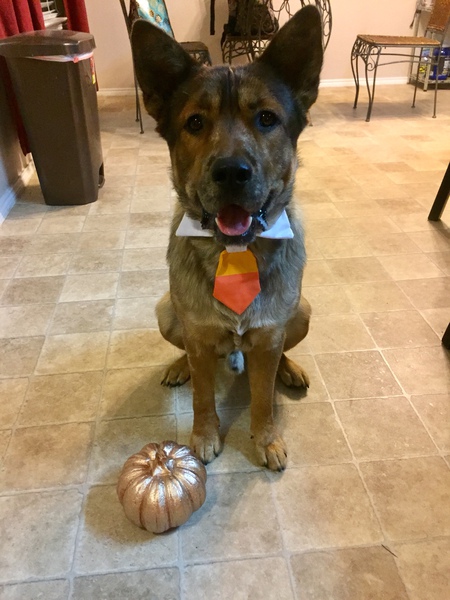 Clyde