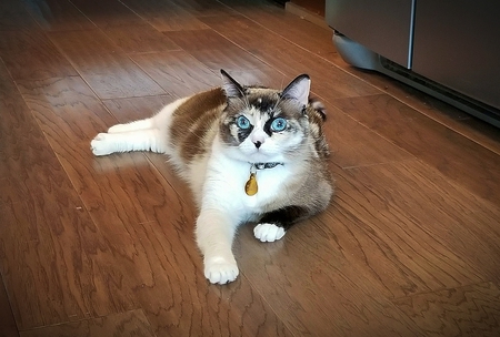 Edith