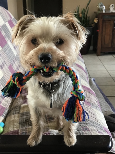Max
