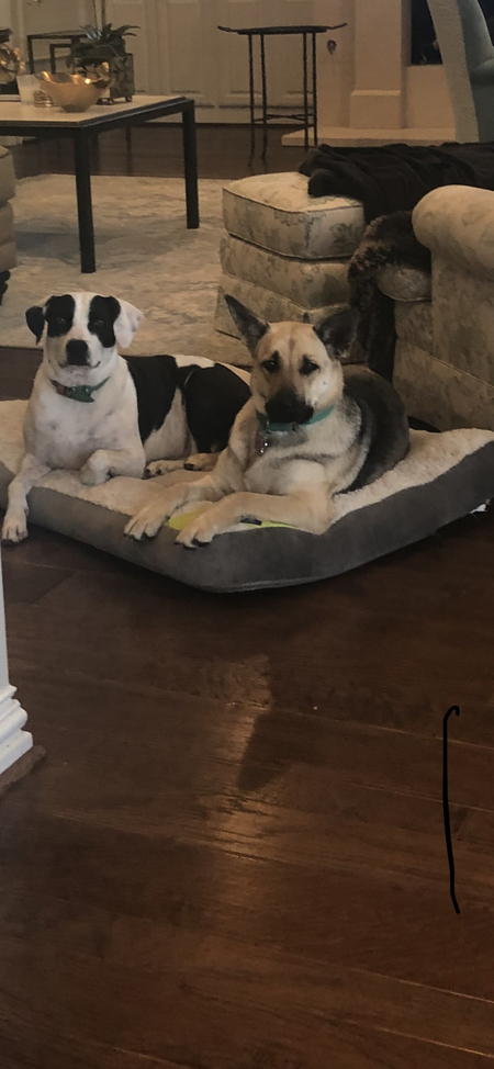 Madden and Zoey