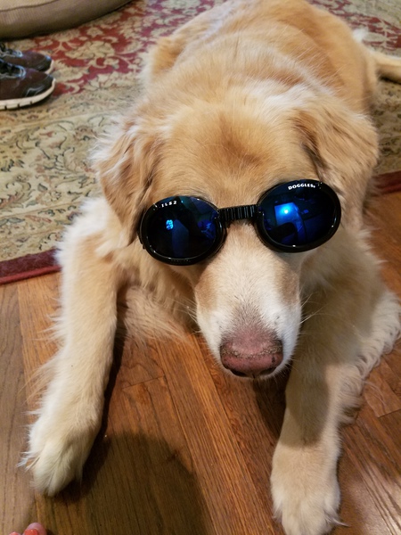 Bonnie
