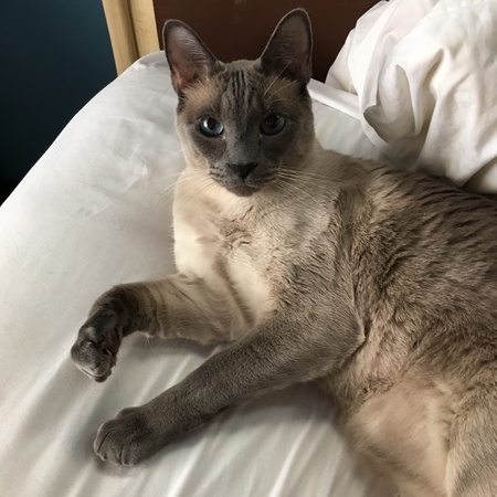 Max