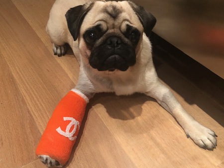 Coco Chanel