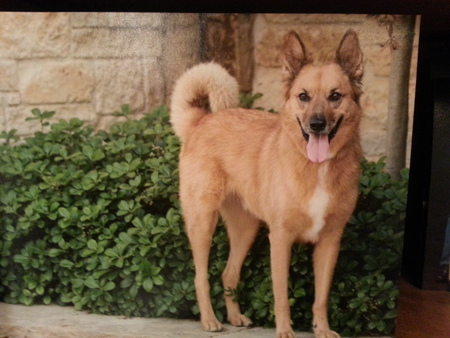 Tobie