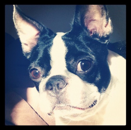 Sweet Helen