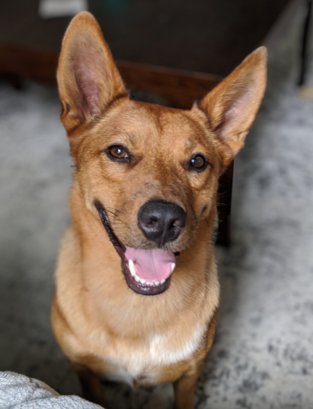 Milo
