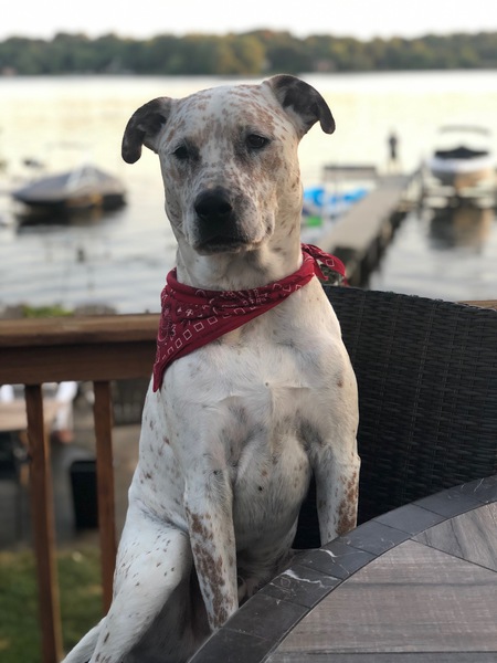 Malcolm