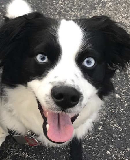 Finn