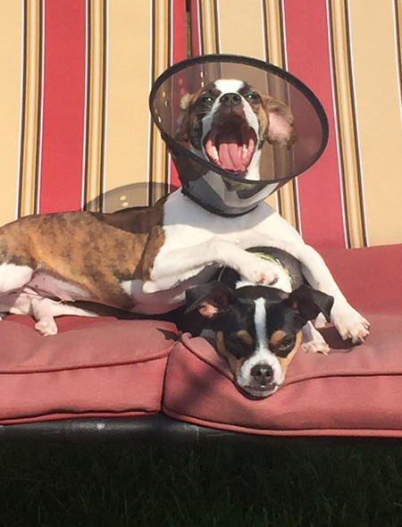 Mickey and Roxy