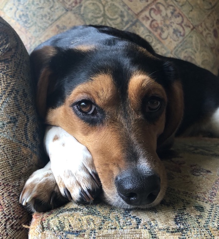Ruby