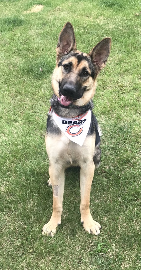 Bella