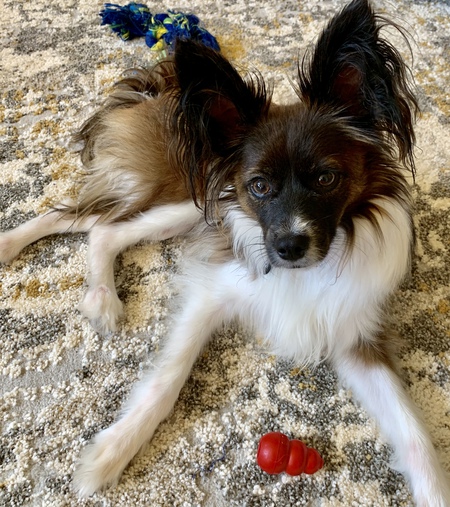 Max “Cookie”
