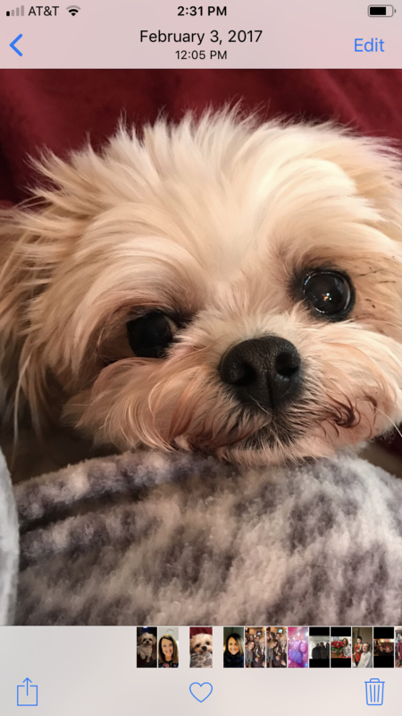 Lexy
