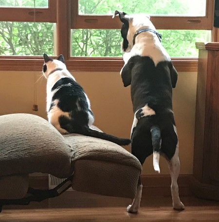 Bob & Roxie