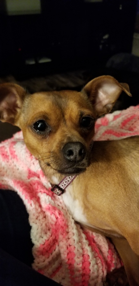 Xena
