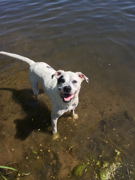 Murphy