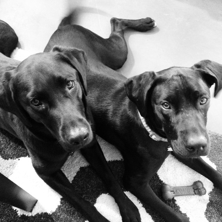 Raven and Reese