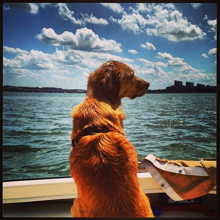 Harvey