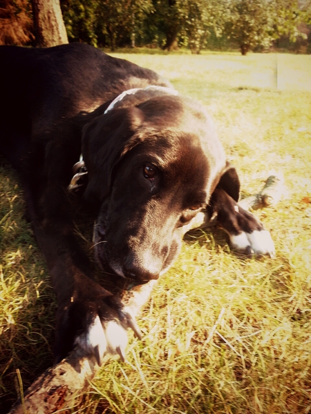 Thurman