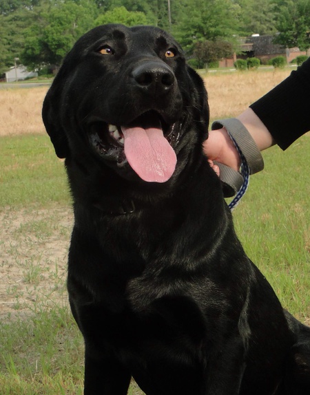 Gunner
