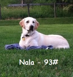 Nala Marie Kirschner