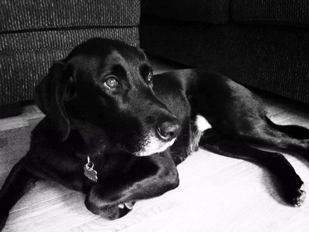 Sadie 